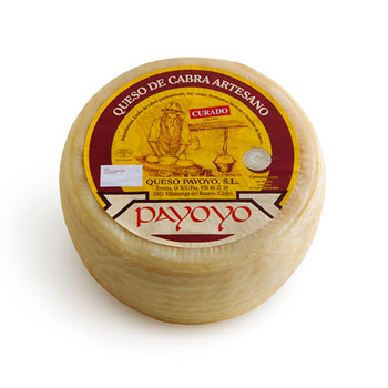 Queso Payoyo de cabra curado